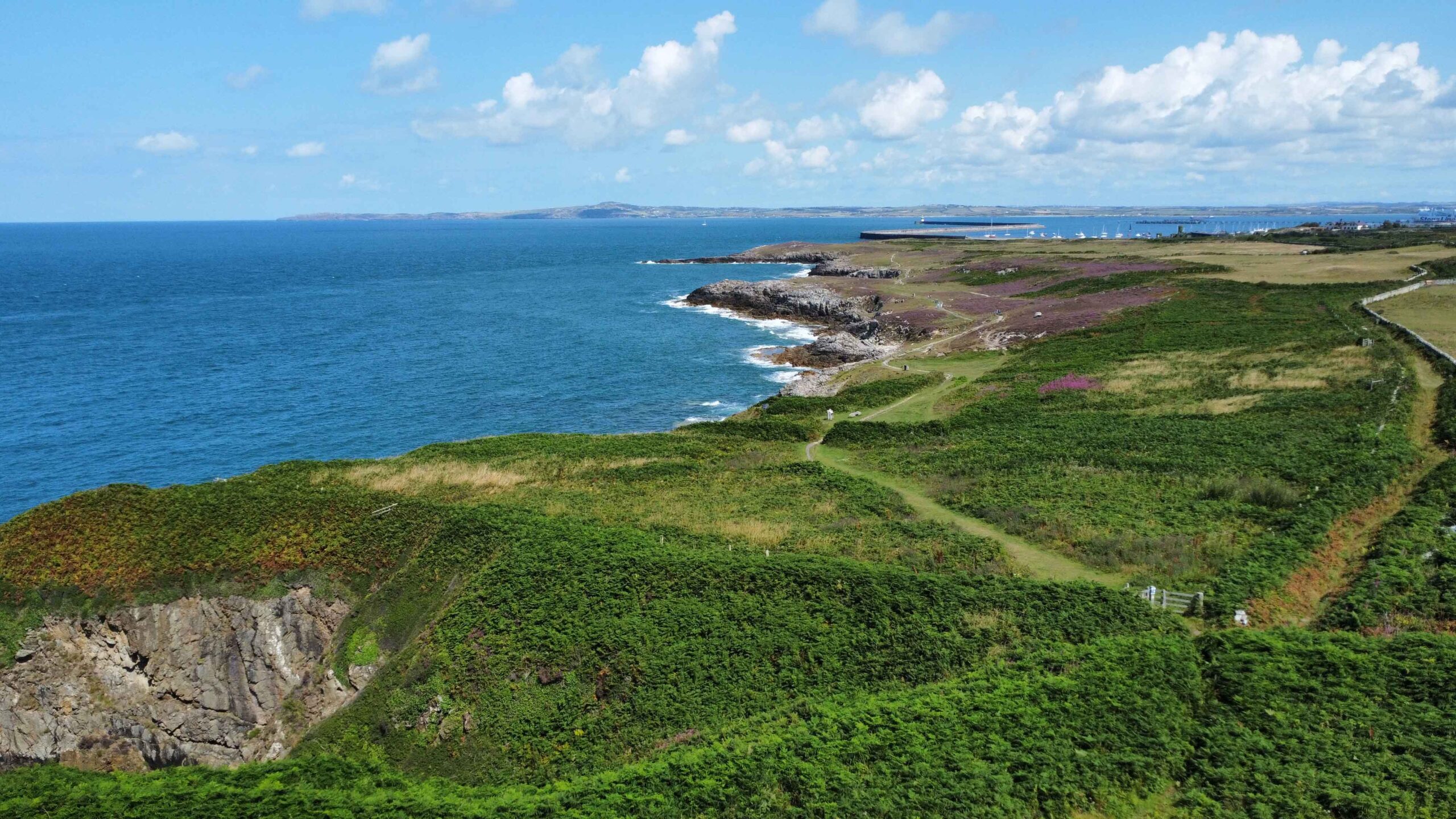Decarbonisation – Breakwater Country Park