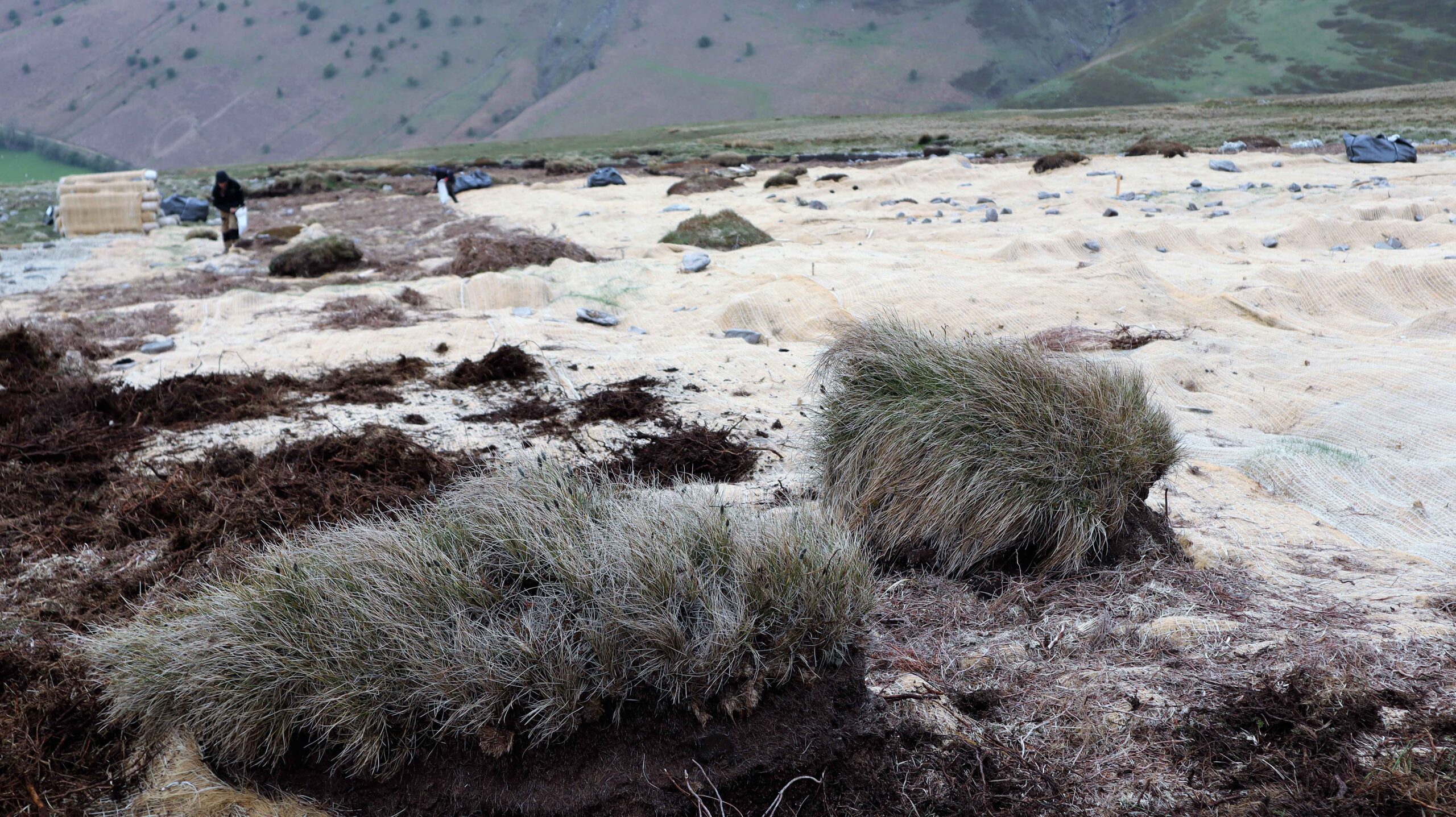 Resilient Uplands – Resilient peatlands
