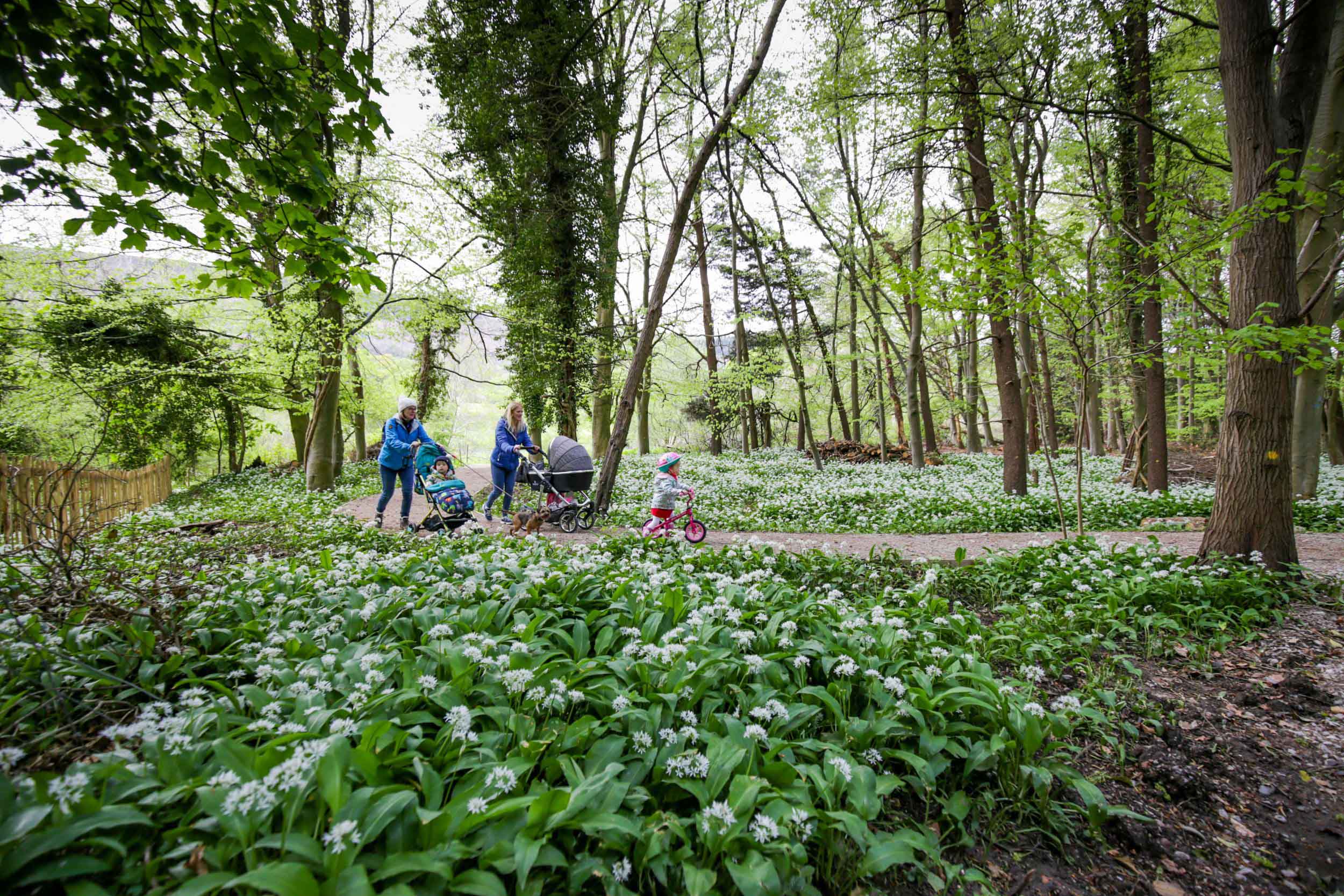 Wenffrwd Pocket Park