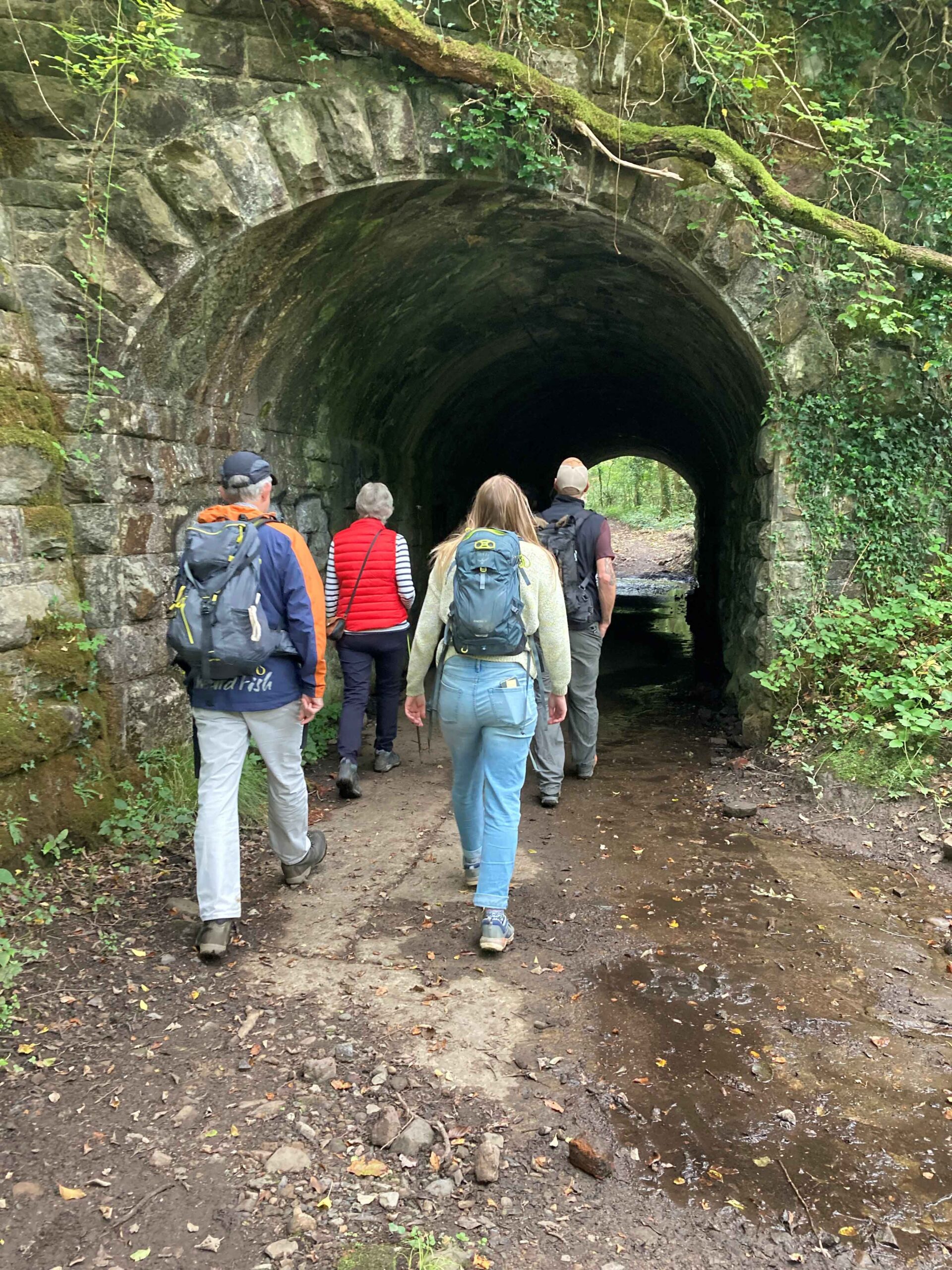 Clyne Valley Country Park