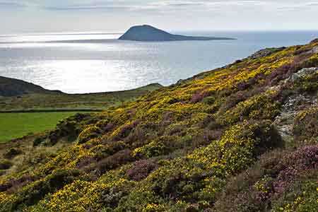 Sustainable Landscapes Sustainable Places programmes rolled out across Wales