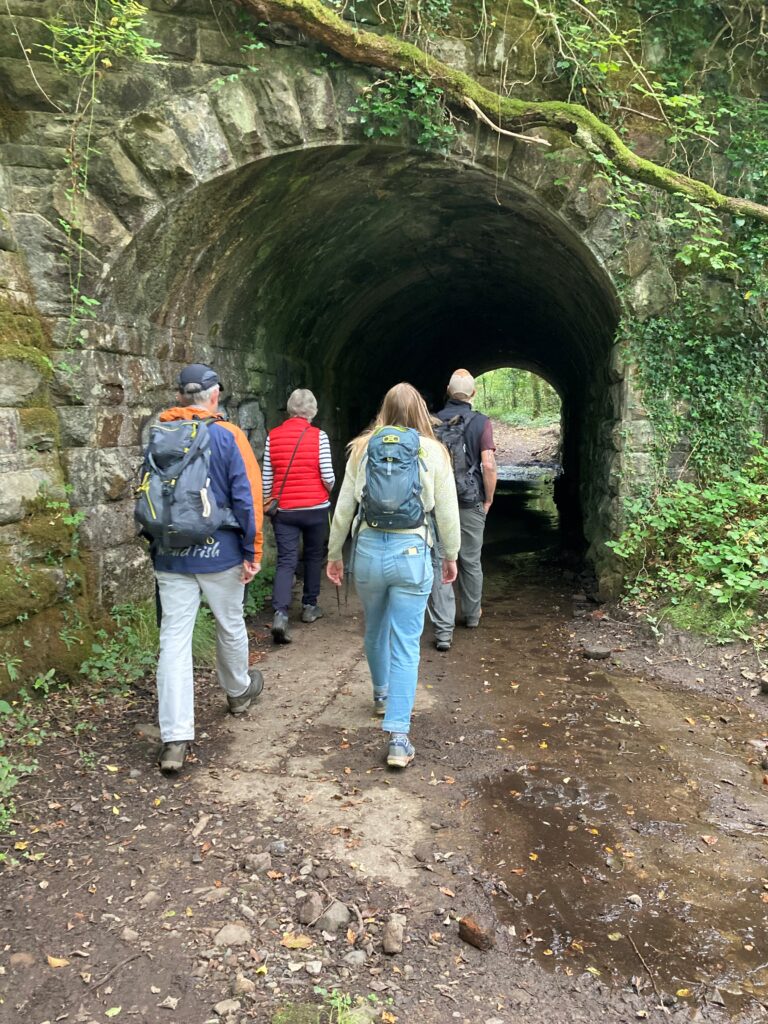 A new future for Clyne Valley Country Park