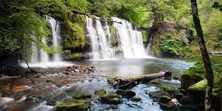 A new approach to managing the Four Falls Trail now and for the future