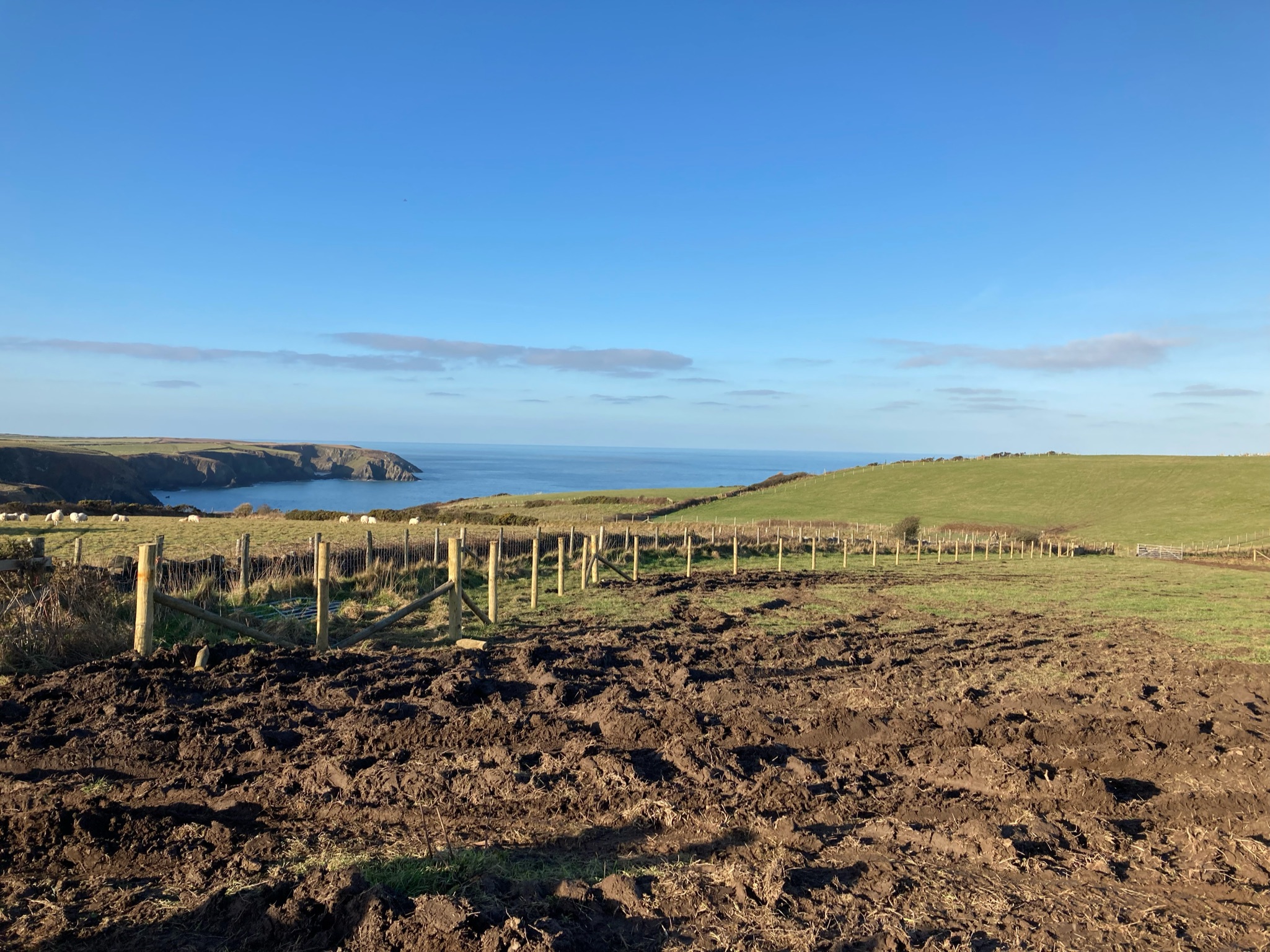Managing land for nature and climate