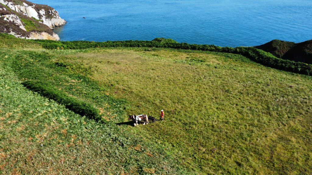 Enhancing Anglesey’s biodiversity and wildlife habitat