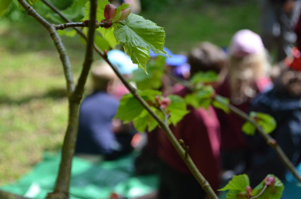 Landscape linked educational resources for Wales