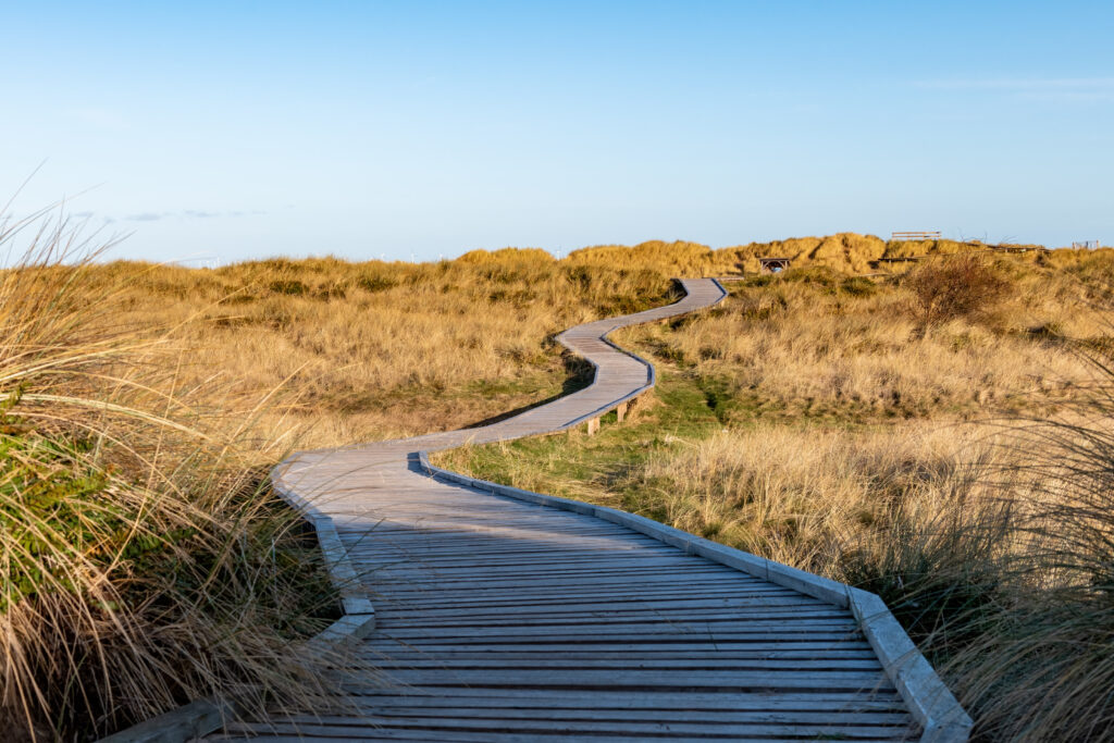 North East Wales National Park Designation Proposal