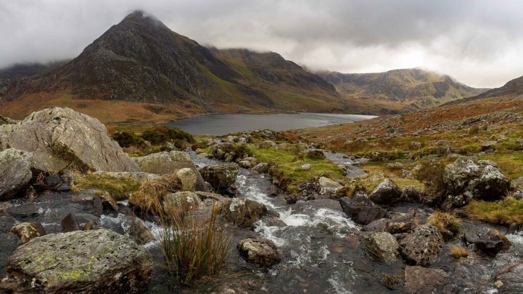 The Wales Biodiversity Deep Dive – Unlocking the potential of Designated Landscapes