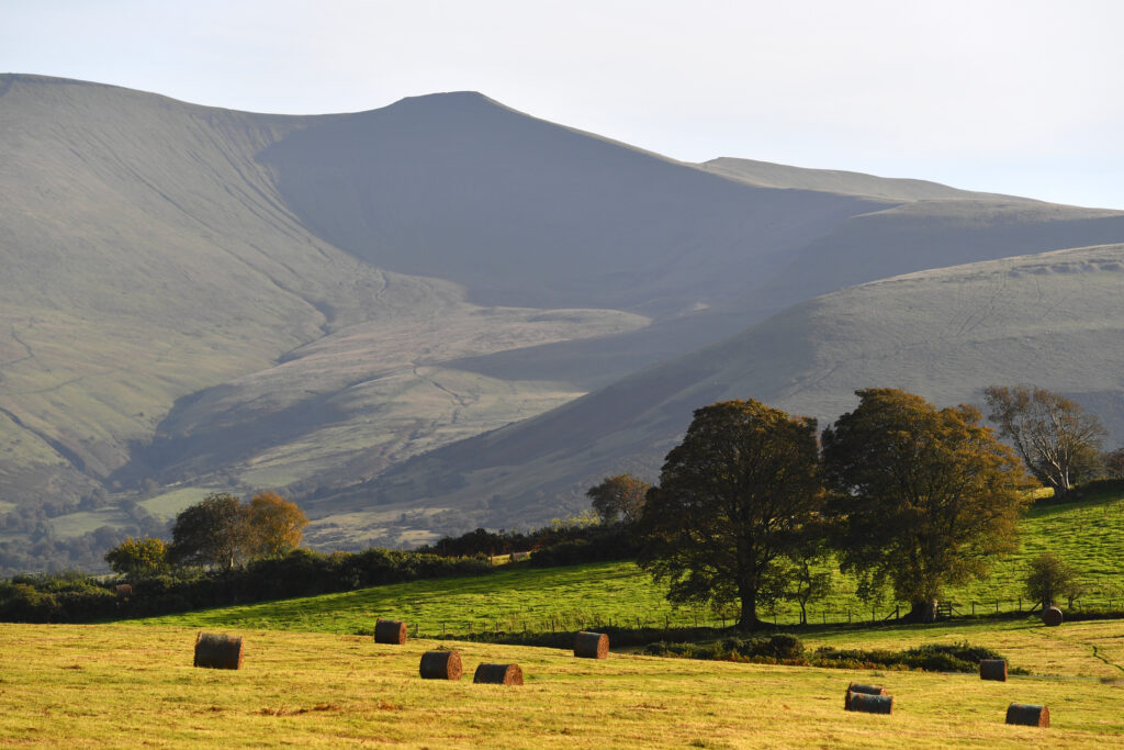 Ffermio Bro: a new scheme for farmers in Designated Landscapes