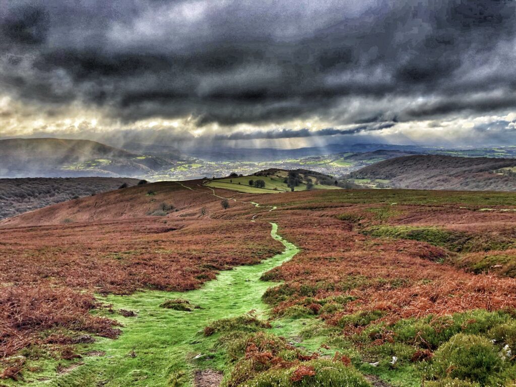 See Cymru Differently