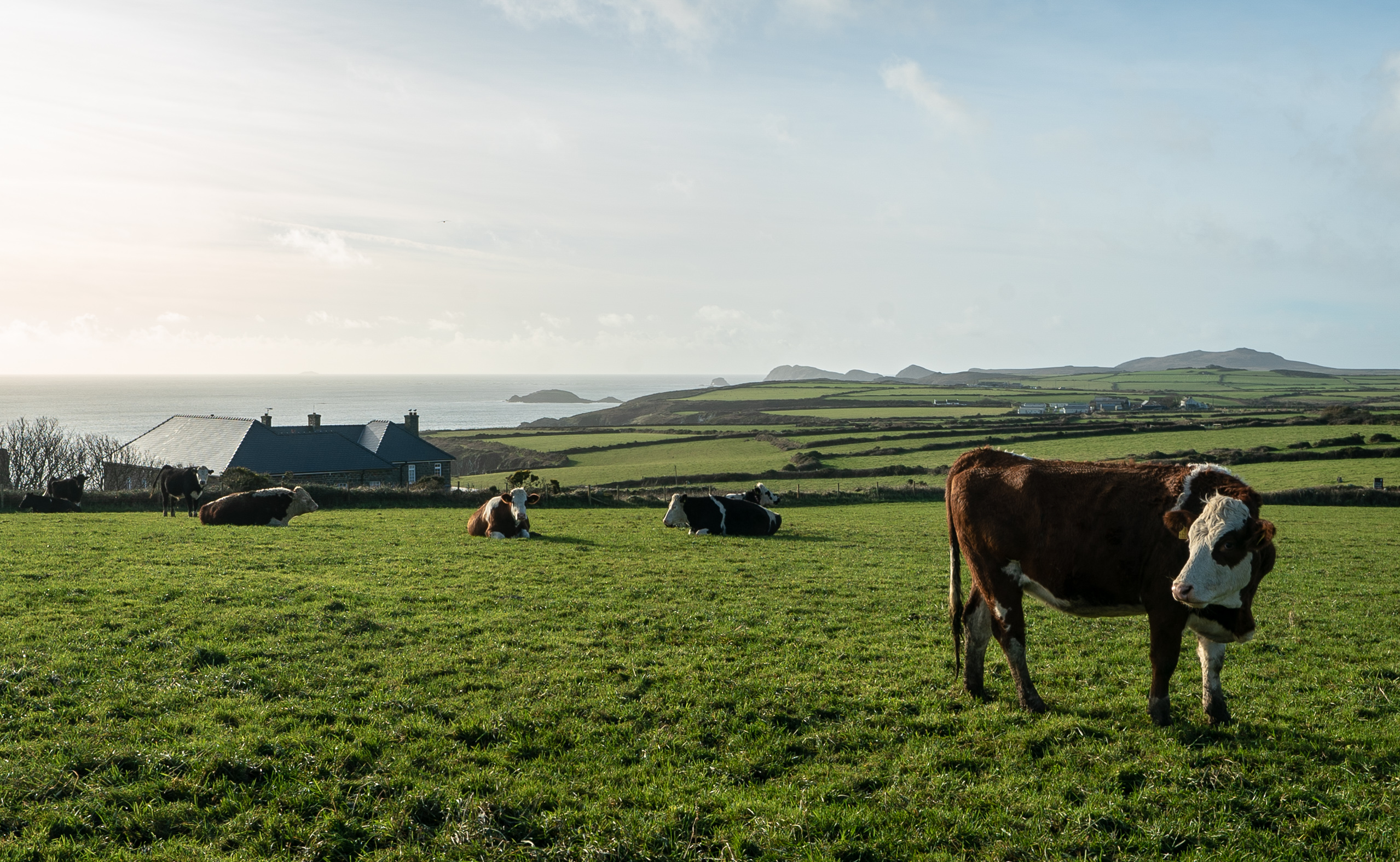 The TCLW photography competition is back for 2025!