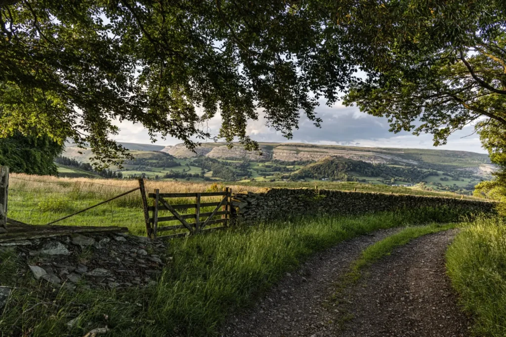 Designated Landscapes hold the key to nature recovery in Wales, says new report
